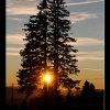 20111127_231